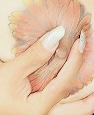 shemale lesbian sex